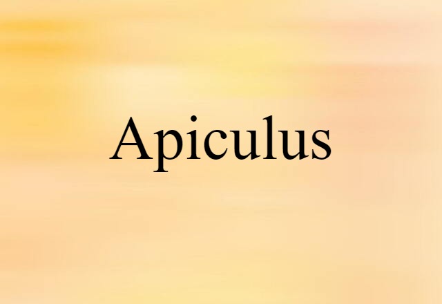 Apiculus (noun) Definition, Meaning & Examples