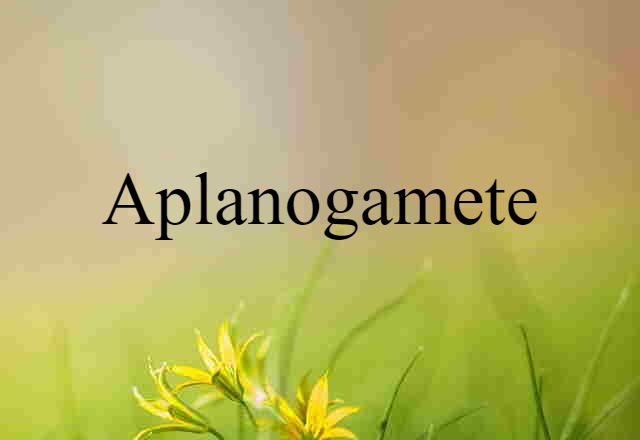 Aplanogamete (noun) Definition, Meaning & Examples