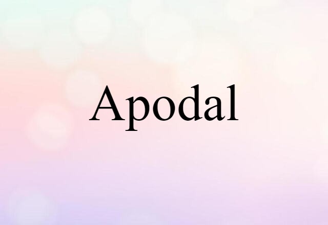 Apodal (noun) Definition, Meaning & Examples