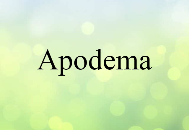 apodema