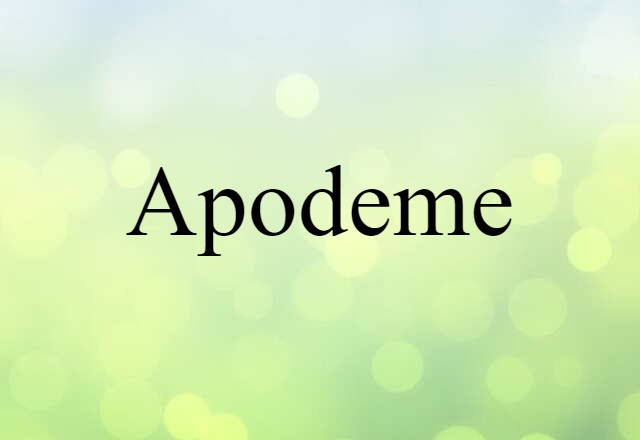 apodeme