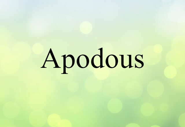 Apodous (noun) Definition, Meaning & Examples