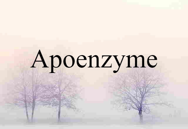 Apoenzyme (noun) Definition, Meaning & Examples