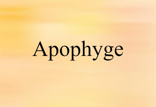 Apophyge (noun) Definition, Meaning & Examples