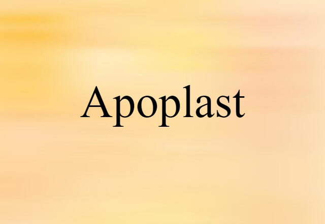 Apoplast (noun) Definition, Meaning & Examples