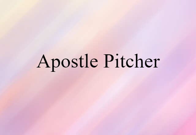 Apostle pitcher