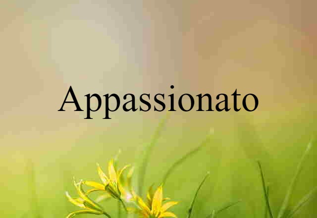 Appassionato (noun) Definition, Meaning & Examples