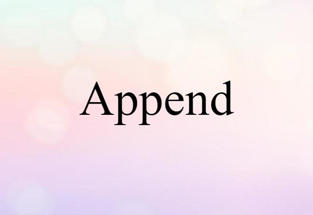 Append (noun) Definition, Meaning & Examples