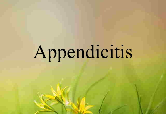 Appendicitis (noun) Definition, Meaning & Examples