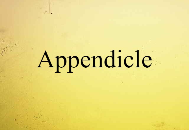 appendicle