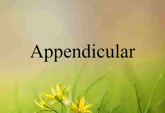 appendicular