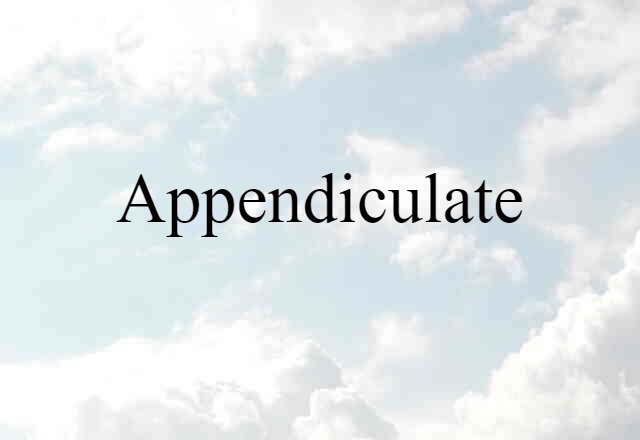 Appendiculate (noun) Definition, Meaning & Examples