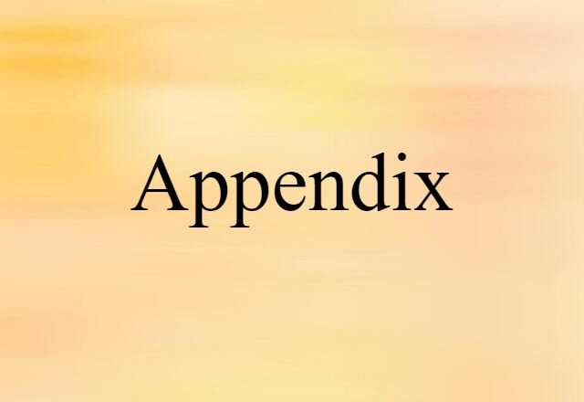 appendix