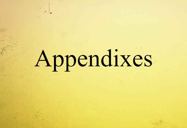 appendixes