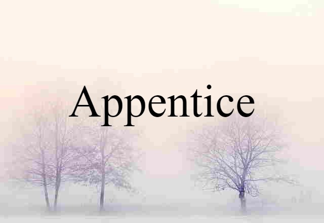 appentice