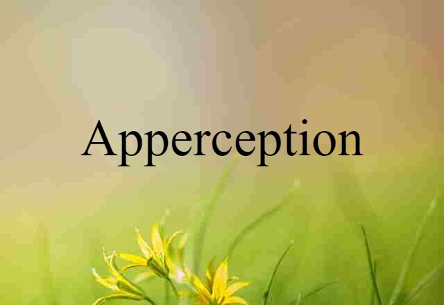 Apperception (noun) Definition, Meaning & Examples