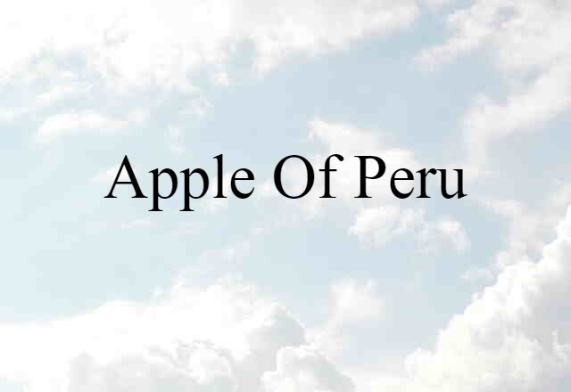 apple of Peru