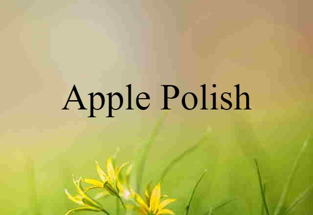 apple-polish