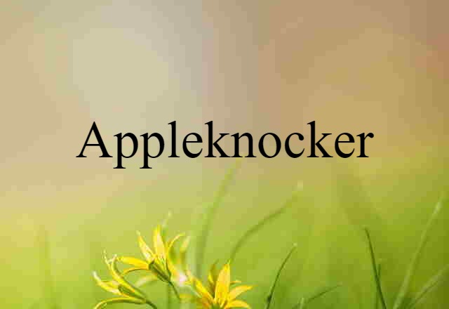 Appleknocker (noun) Definition, Meaning & Examples