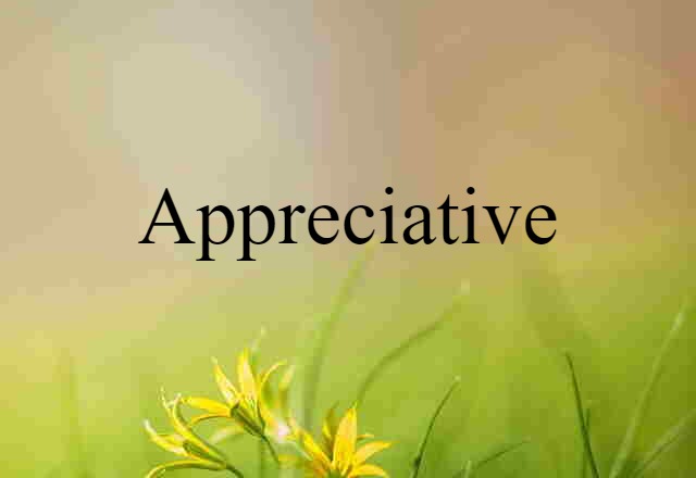 Appreciative (noun) Definition, Meaning & Examples