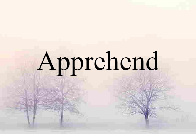 Apprehend (noun) Definition, Meaning & Examples