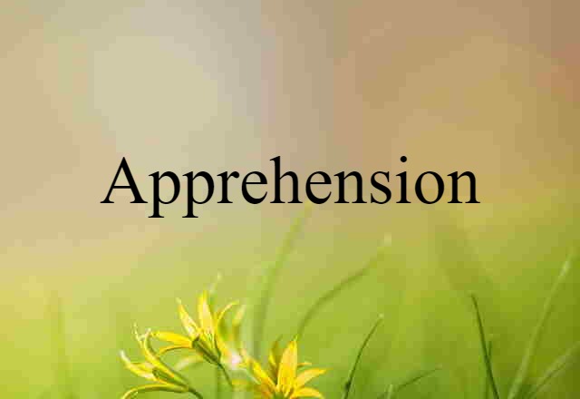 apprehension