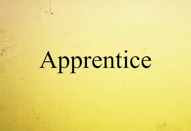 Apprentice (noun) Definition, Meaning & Examples