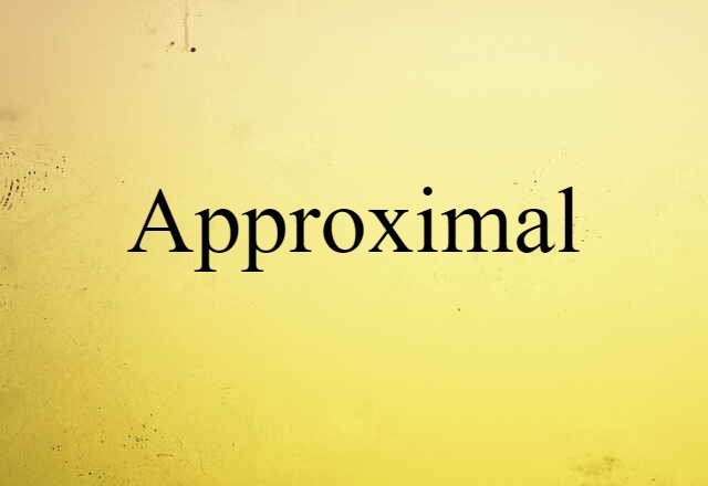 Approximal (noun) Definition, Meaning & Examples