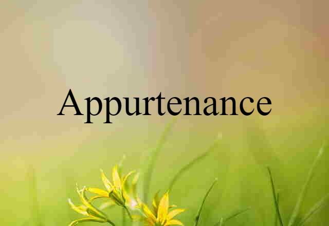 appurtenance