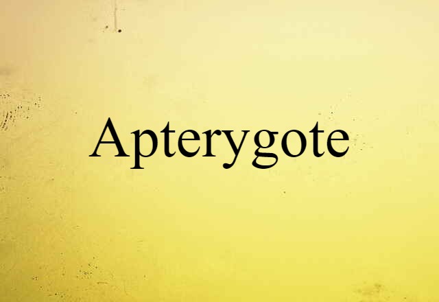 Apterygote (noun) Definition, Meaning & Examples