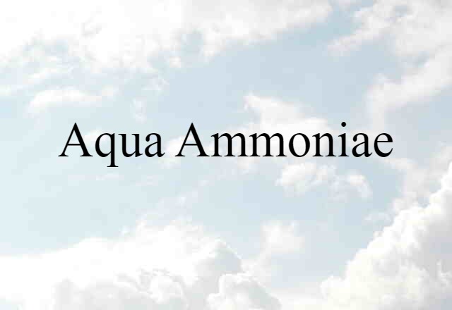 Aqua Ammoniae (noun) Definition, Meaning & Examples