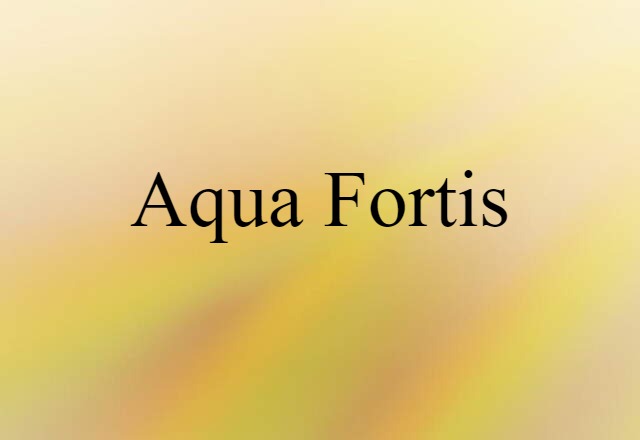 Aqua Fortis (noun) Definition, Meaning & Examples