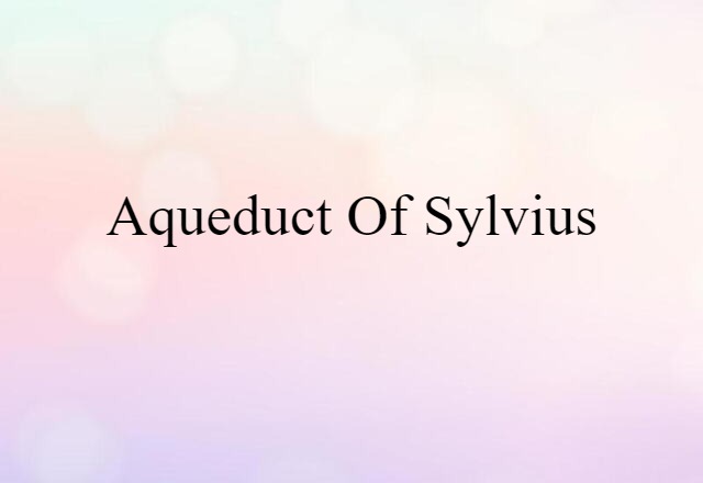 aqueduct of Sylvius