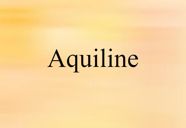 Aquiline (noun) Definition, Meaning & Examples