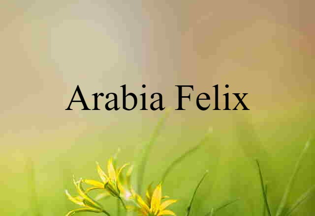 Arabia Felix (noun) Definition, Meaning & Examples