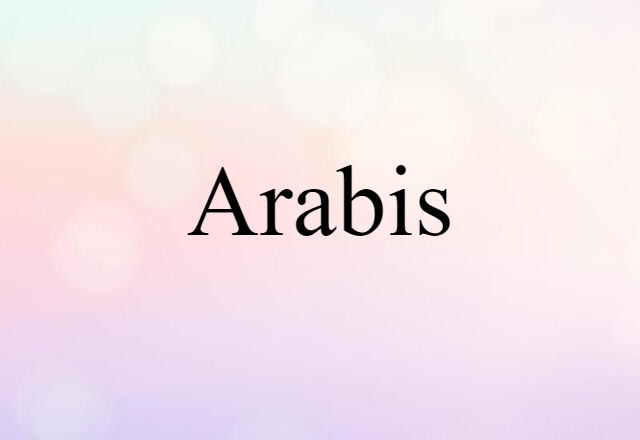 arabis