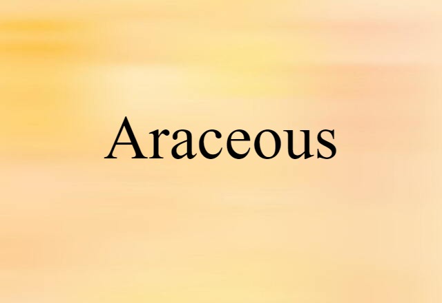 Araceous (noun) Definition, Meaning & Examples