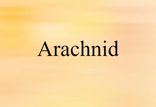 arachnid