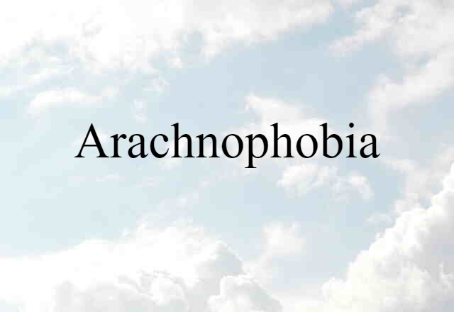 Arachnophobia (noun) Definition, Meaning & Examples