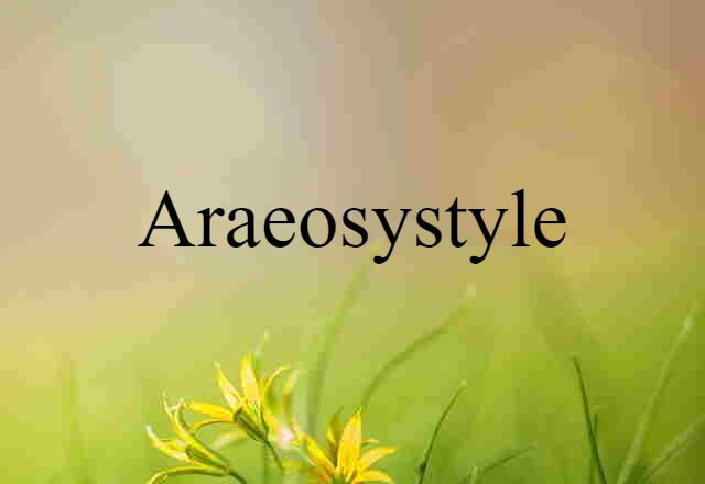 Araeosystyle (noun) Definition, Meaning & Examples