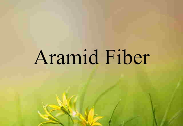 Aramid Fiber (noun) Definition, Meaning & Examples