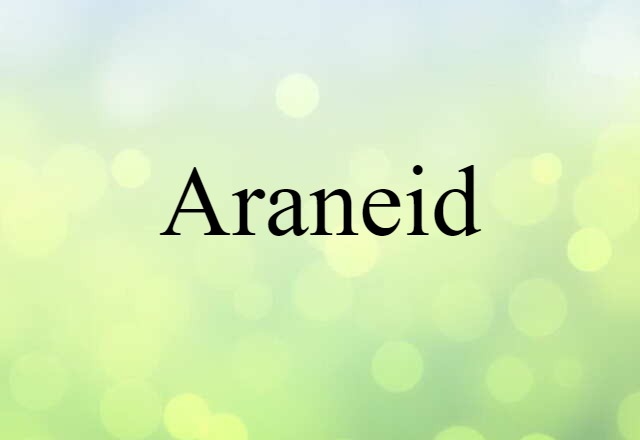 Araneid (noun) Definition, Meaning & Examples