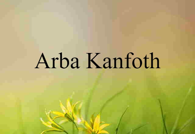 Arba Kanfoth (noun) Definition, Meaning & Examples