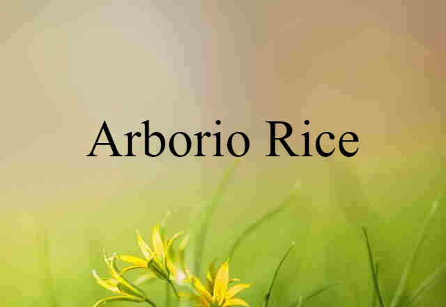 arborio rice