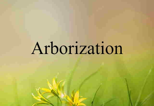 Arborization (noun) Definition, Meaning & Examples