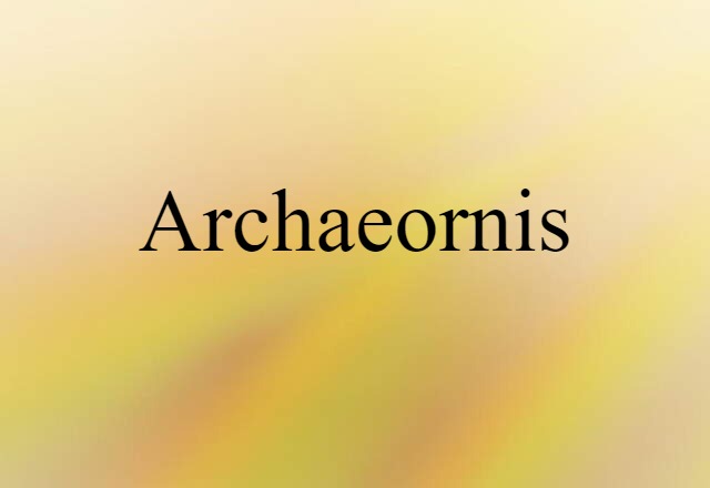 Archaeornis (noun) Definition, Meaning & Examples