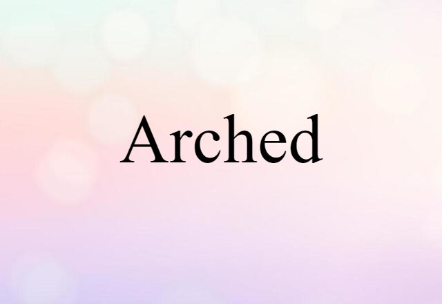 Arched (noun) Definition, Meaning & Examples