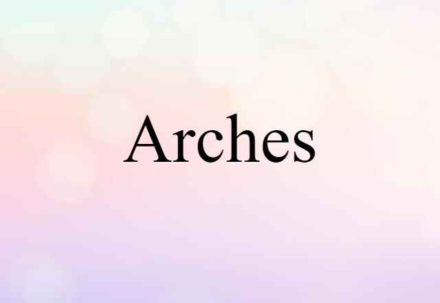 Arches (noun) Definition, Meaning & Examples