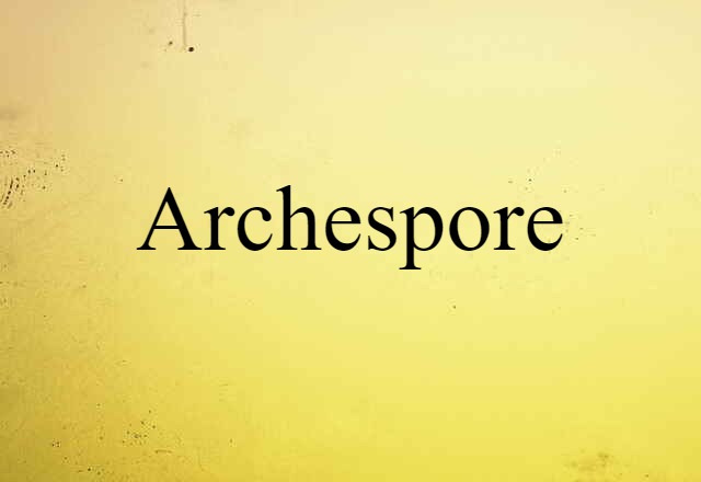 Archespore (noun) Definition, Meaning & Examples