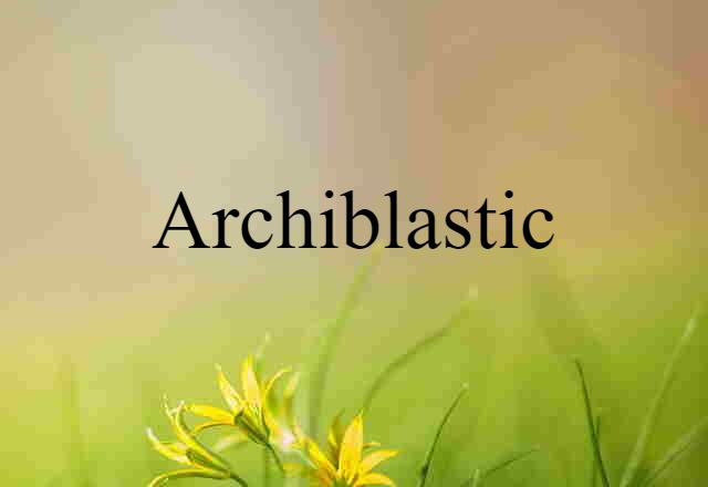 Archiblastic (noun) Definition, Meaning & Examples